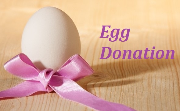 egg donor